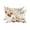 Beige, variant on White Pumpkins Fall Throw Pillow 18x18 Inch, Thanksgiving Floral Botanical Rustic Waterproof Outdoor Pillow Covers with Insert, Decorative Pillowcase Cushion for Couch, Sofa, Bed, Patio, Garden