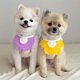 thumbnail image 2 of Labymos Pañuelos para perros Toalla de saliva, 2 of 7