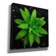 thumbnail image 2 of Epic Graffiti 'The Green Bloom Crop' by Epic Portfolio Giclee Canvas Wall Art, 26"x26", 2 of 8