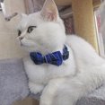 thumbnail image 3 of VINIPET Breakaway Cat Collar with Bow Tie and Bell for Small Med Cat (Blue), 3 of 7