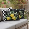 thumbnail image 5 of Hello Summer Lemons Outdoor Pillow Covers Pack of 2 Farmhouses Fruits Black White Checkered Waterproof Throw Pillow Covers Decorative Cushion Cases for Patio Garden Tent Balcony Couch 20x12 inch, 5 of 9