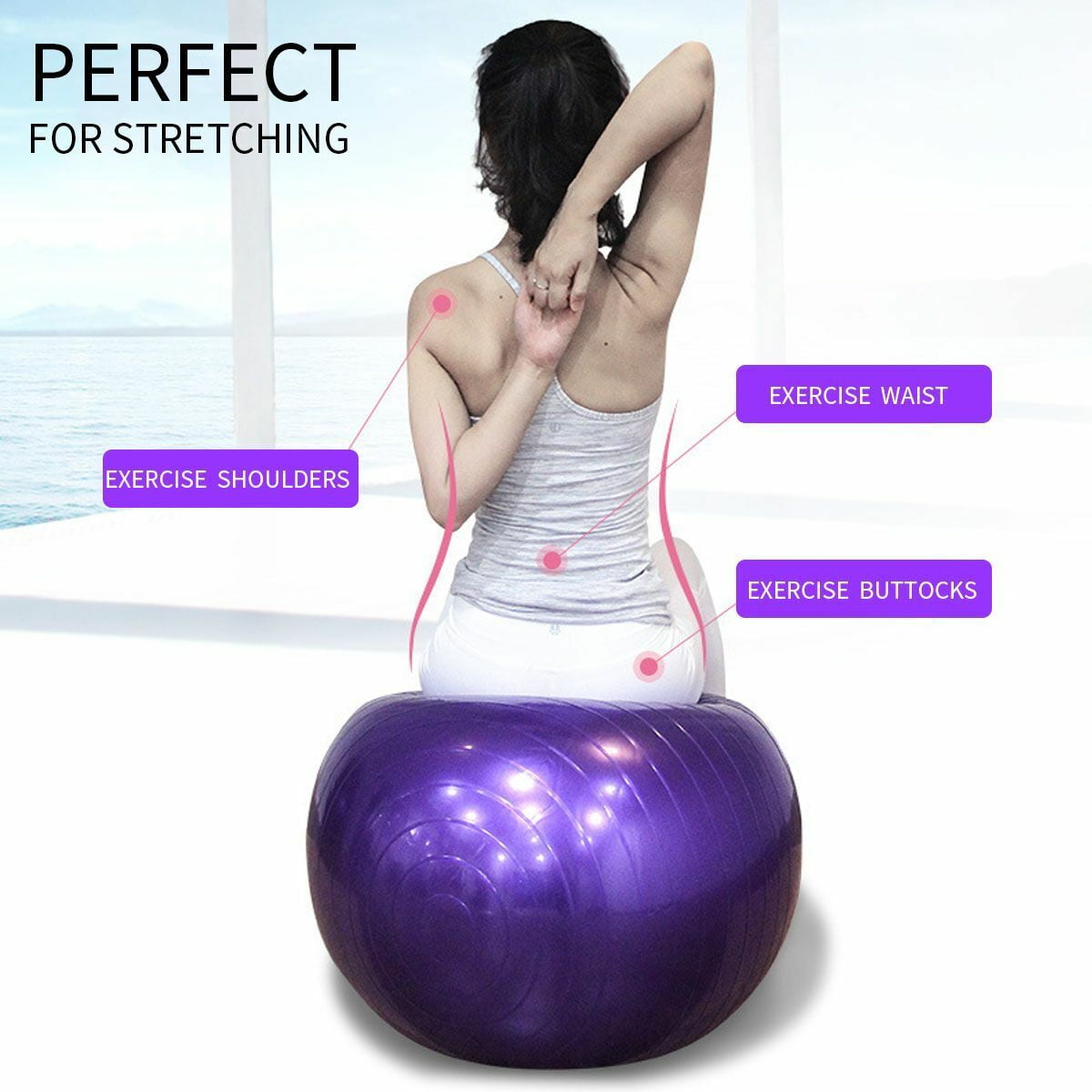 Ballon De Yoga Et Pilates 45cm - Swiss Ball Pour Fitness Et Gym à La Maison
