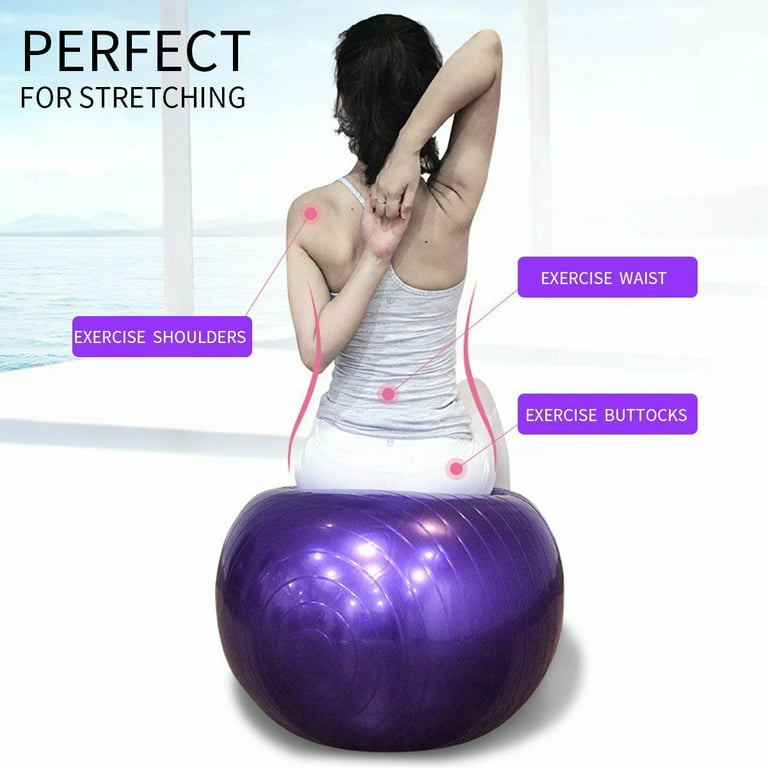 Exercise Ball, Stability Ball with 65 cm Diameter Standard Fitness Ball for  Posture, Balance, Yoga, Pilates, Core, & Rehab 