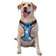 thumbnail image 1 of Balery Cute Dogs Arnés para Perros Grandes Antitirones, Arnés con Correa para Gato, Arnés Tipo Chaleco para Perros Pequeños-Medium, 1 of 6