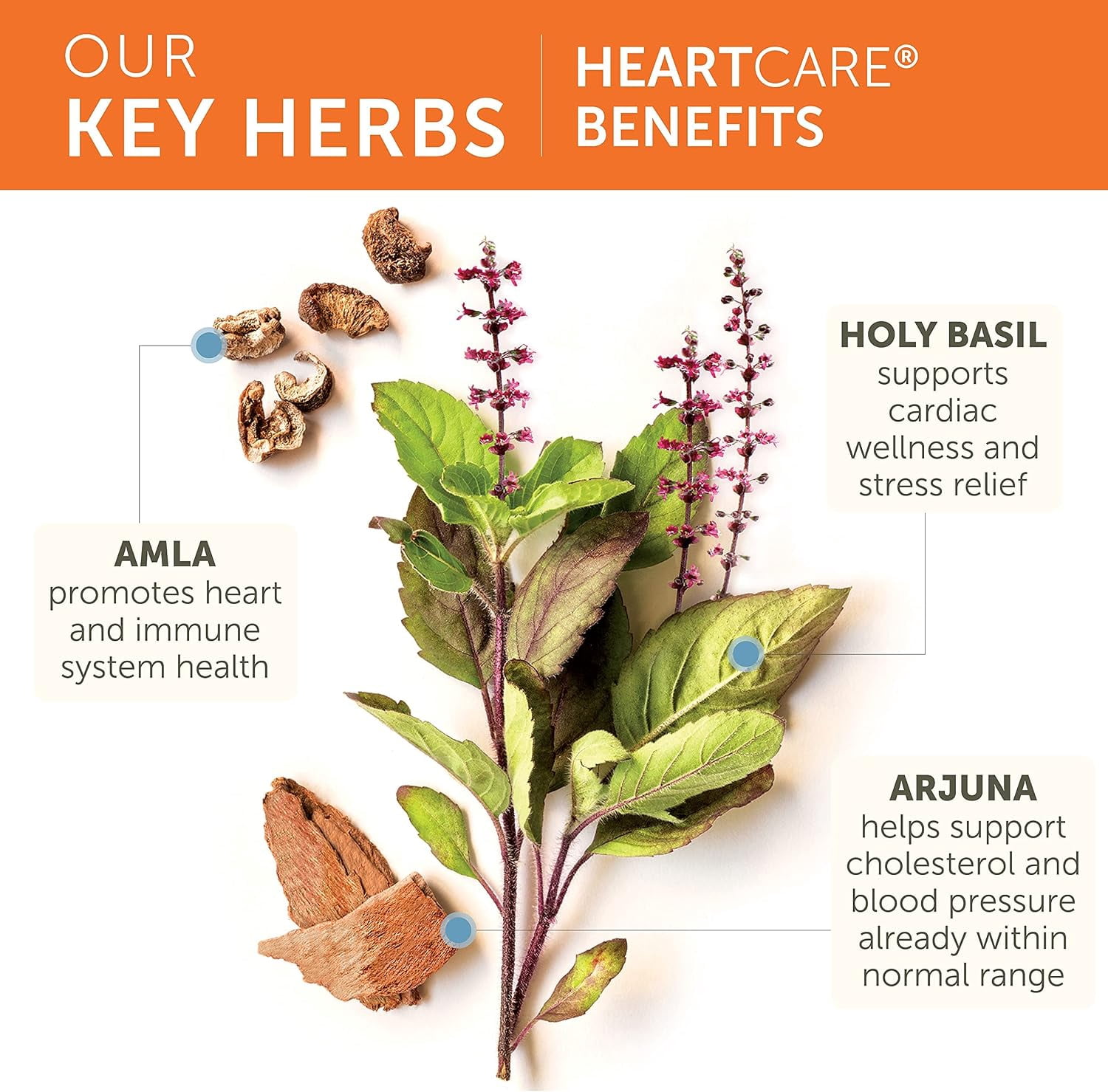 Himalaya HeartCare - Herbal Heart Health Supplements with Ashwagandha and Amla - Vegan,720 mg, 120 Capsules