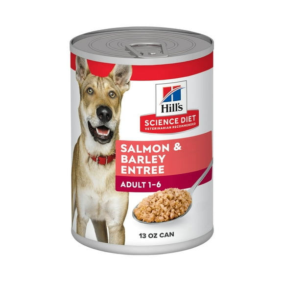 Hill's Science Diet Salmon & Barley Entree Wet Dog Food, 13oz Can 12pk