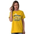 thumbnail image 4 of Michigan Is Great MI Lakes Pride Plus Size Crewneck Graphic Tee Shirt Brisco Brands 4X, 4 of 5