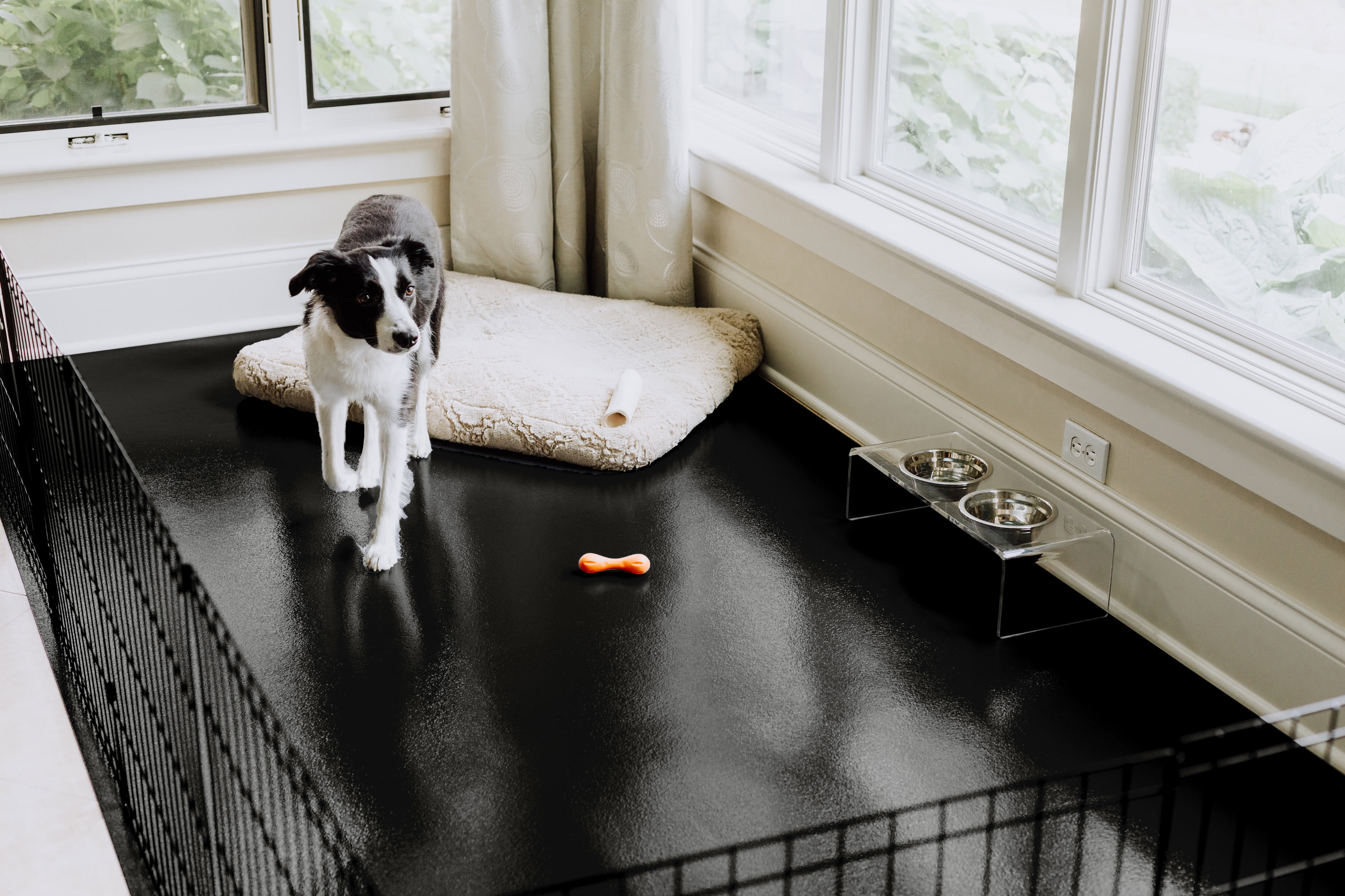 G-Floor 5' x 10' Polyvinyl Ceramic Pet Friendly Carpet Protector for Dogs and Cats - Midnight Black