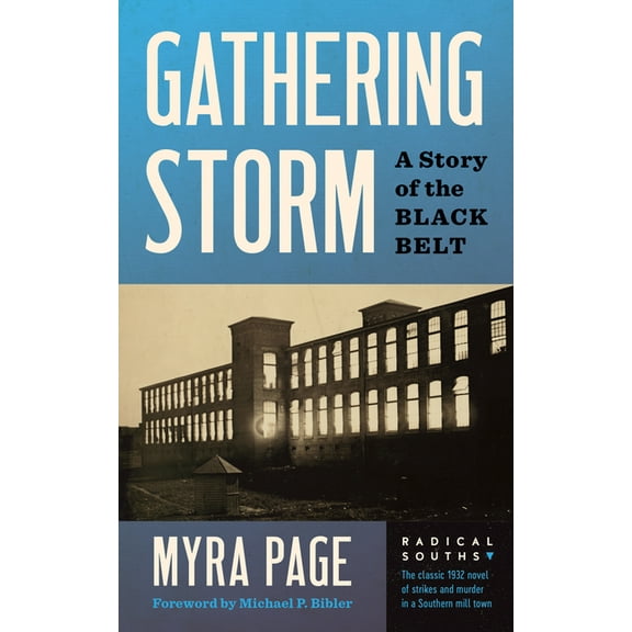 Radical Souths Gathering Storm: A Story of the Black Belt, (Hardcover)
