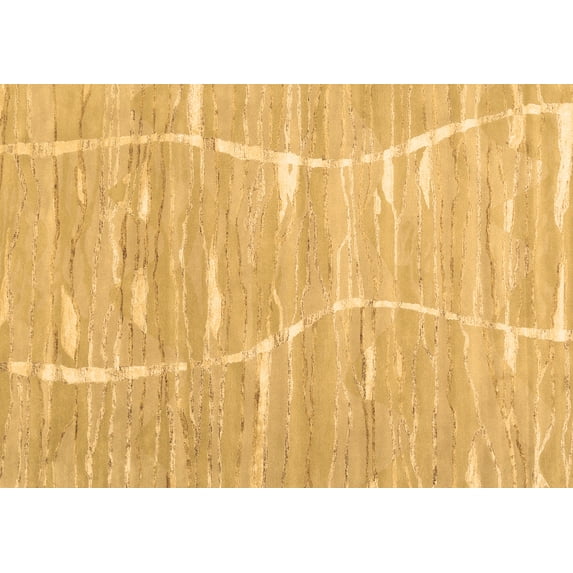 Ahgly Company Indoor Rectangle Abstract Brown Contemporary Area Rugs, 2' x 3'