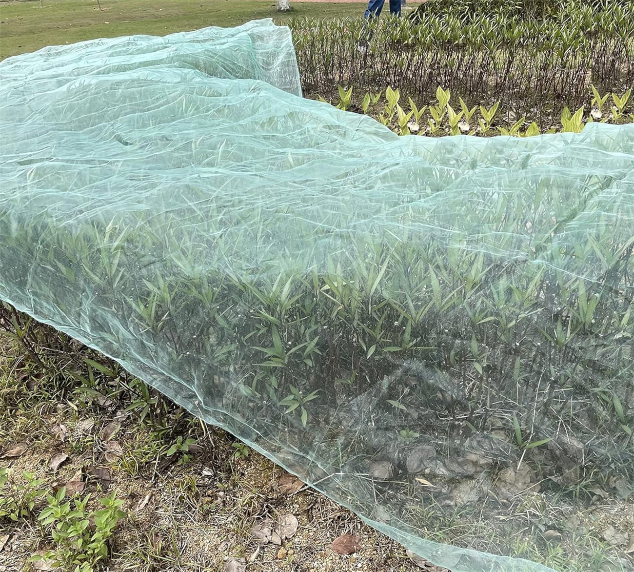Garden Netting,Bexikou 6.56x32.8Ft Plant Covers,Ultra Fine Mesh Netting Pest Barrier,Mosquito Net for Vegetables Fruits Flowers Crops Garden