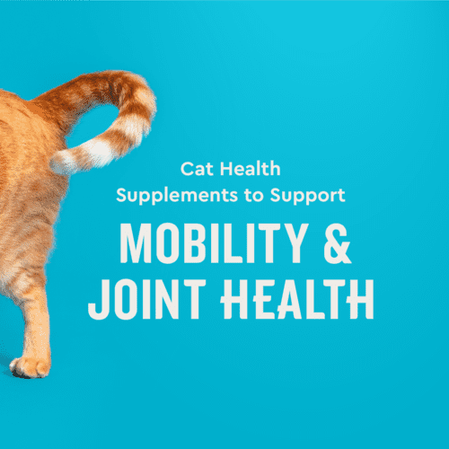 Vet IQ Hip & Joint Health Supplement for Cats, Chicken Flavored Crunchy Chews, Approx. 30 Day Supply