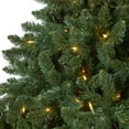thumbnail image 5 of Nearly Natural Clear Prelit 500 LED Green Floral Northern Rocky Spruce Artificial Christmas Tree, with 1948 Bendable Branches 8', 5 of 8