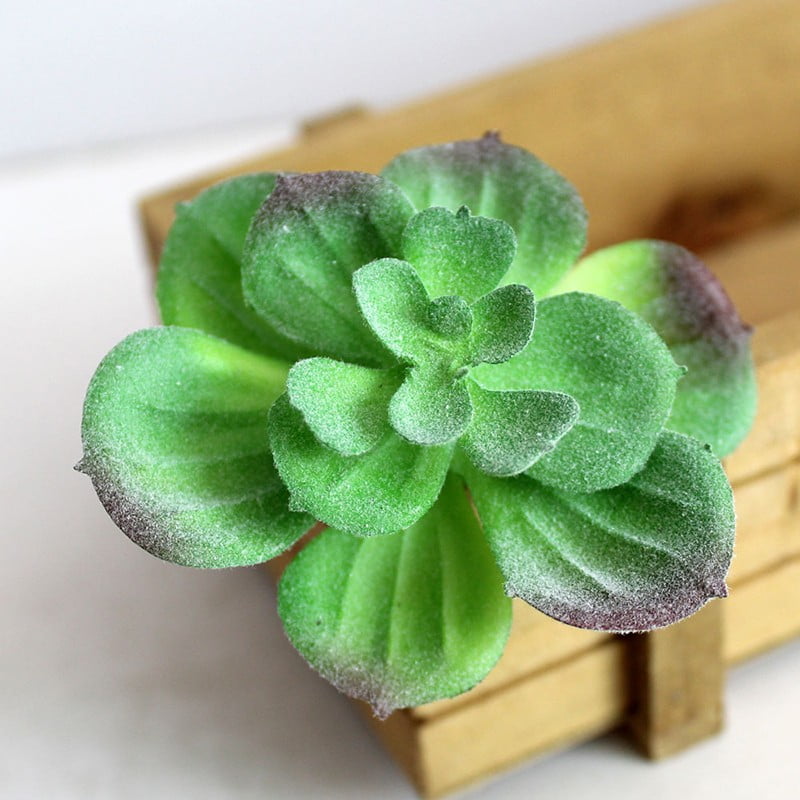 Artifical Plastic Succulent Plant Cactus Echeveria Flower Home Office Decor Gift