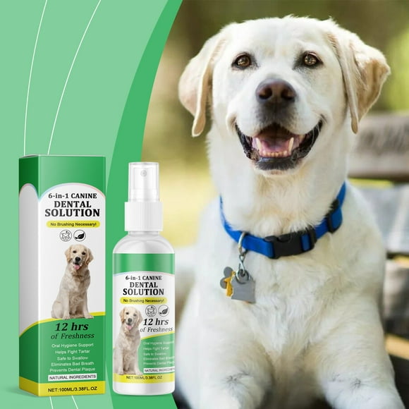 Dog Dental Solution, Dog Teeth Cleaning Water - Dog Breath Freshener Water Additive Supports Gum Health, Improve Bad Breath, Plaque and Tartar - Pet Supplies Oral Dental Care for Dogs