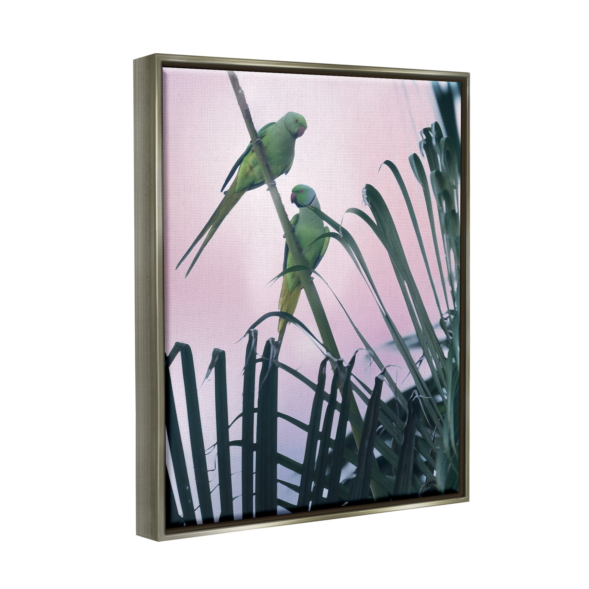 Stupell Industries Tropical Parakeets Pink Sky Animals & Insects Photography Gray Floater Framed Art Print Wall Art
