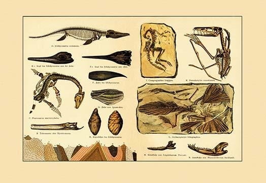 list of aquatic dinosaurs