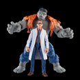 thumbnail image 4 of Hasbro Marvel Legends Series Gray Hulk and Dr. Bruce Banner, 6 Inch Action Figures, 4 of 6