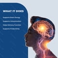 thumbnail image 5 of (3 Pack) Memora – Daily Formula with a Natural Blend to Help Maintain Focus, Memory & Concentration | Clean, Gentle, Easy-to-Swallow Memory Prime Capsules for Everyday Sharpness (180 Capsules), 5 of 10