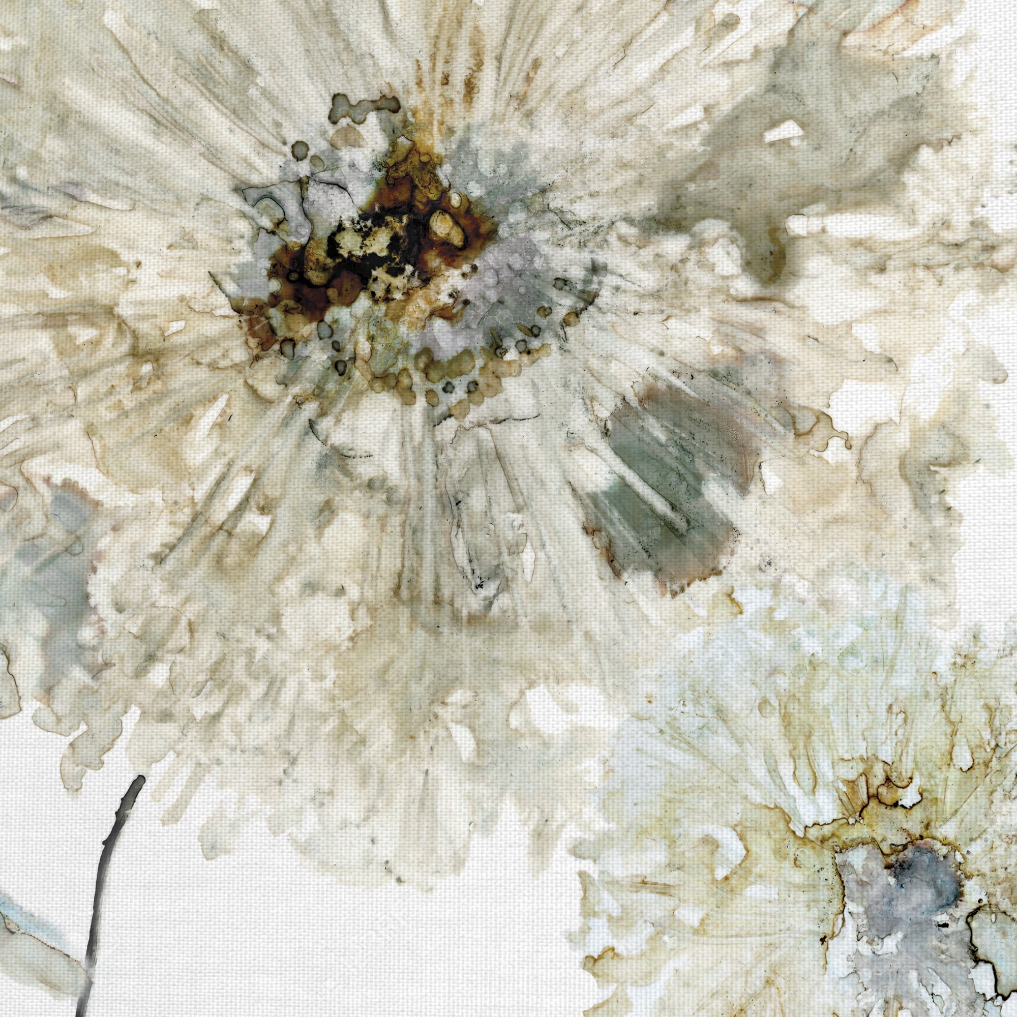 Masterpiece Art Gallery Ivory Spring II Flower by Carol Robinson Canvas Art Print 30" x 30"