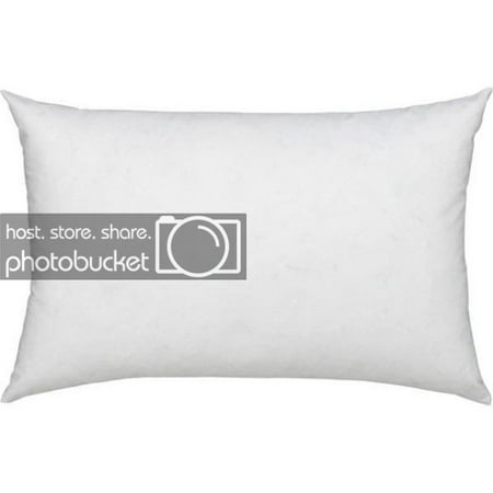 100% Cotton Cover Highest Quality, Feather & Down Pillow, Best use for Decorative Pillows & for Firm Sleepers, Dust Mite Resistant (not polyester (Best Pillow For The Money)