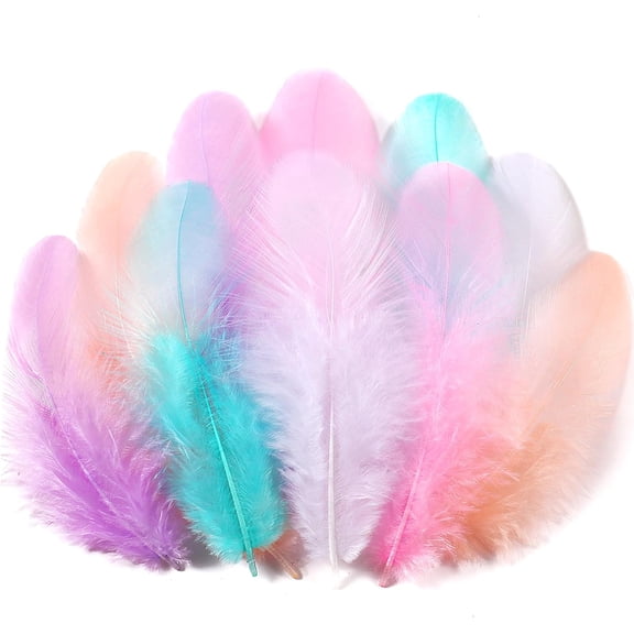 300Pcs Natural Rooster Feathers Bulk 3-5 Inch, Assorted Craft Feathers for Dream Catcher, Wedding Decor, Home Party & DIY Art Projects