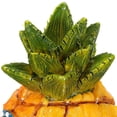 thumbnail image 4 of 13Cm Aquarium Fish Tank Ornament Cartoon Resin Pineapple House Decoration, 4 of 5