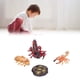 thumbnail image 5 of Modelos De Etapa De Crecimiento De Escorpión, 4 Etapas Modelo De Escorpión Juguete Curiosity Plastic Para Niños Juguete Cognitivo Para Niños Para Material Didáctico Escolar ANGGREK No, 5 of 7