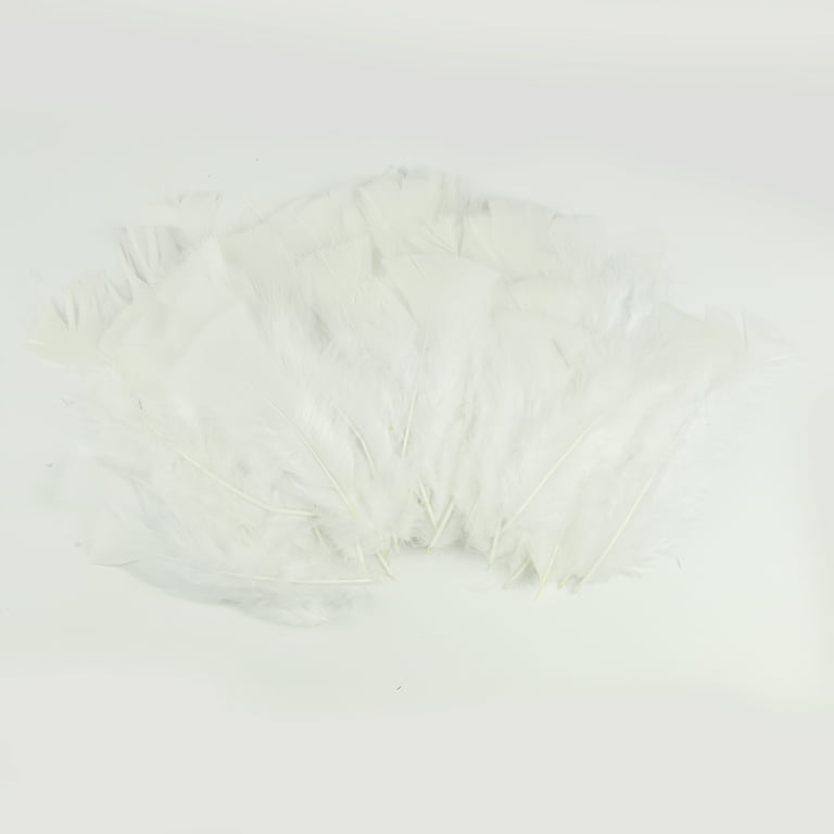 Baker Ross ET325 White Feathers - Bag of 20g, for Kids to Decorate, Arts and Crafts