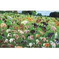 thumbnail image 2 of 1000pcs Pooping Puppies Puzzle Funny Stress Relief Puzzle For Dog Animal Lovers, 2 of 5