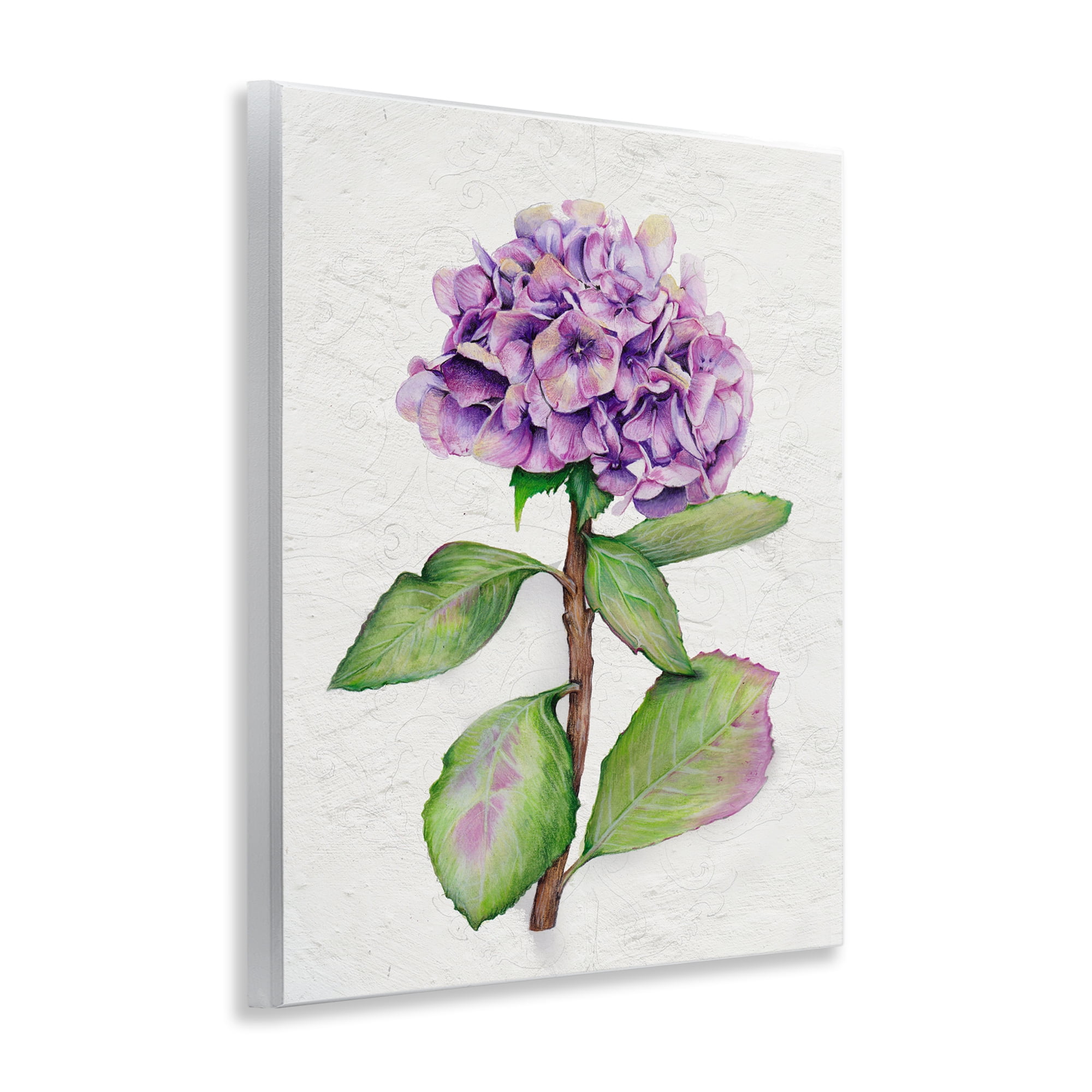 Stupell Industries European Style Hydrangea Botanical & Floral Painting Unframed Art Print Wall Art, 11 x 14