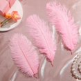 thumbnail image 3 of Plumas de avestruz Berlune, 150 unidades, naturales, 30-35 cm, rosa, 3 of 6