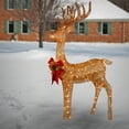 thumbnail image 3 of National Tree Company Pre-Lit  Champagne Standing Reindeer, Warm White LED Lights, 48 Inch, Indoor or Outdoor Use., 3 of 4