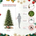 thumbnail image 6 of Fraser Slim Fir 7.5ft Christmas Tree Pre-Lit Artificial with 3,429 Branch Tips & 792 Low-Voltage Warm LED Lights, Foldable Stand & Realistic Flame-Resistant Branches, 6 of 13