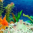 thumbnail image 2 of Rdeghly Simulation Octopus, Fluorescence Effect Fish Tank Decoration, For Aquarium Animals Pets Fish Tank Decoration, 2 of 8