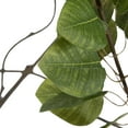 thumbnail image 4 of Vickerman 5' Artificial Green Potted Cotinus Coggygria Tree., 4 of 8