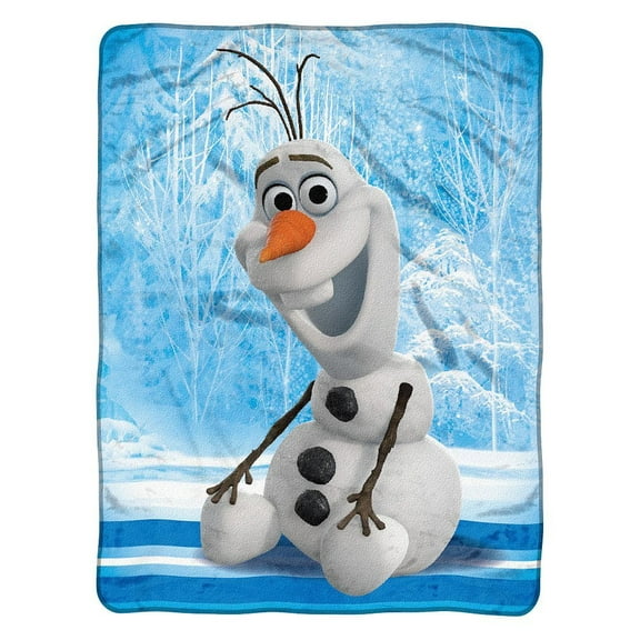 Disney Frozen 'Chills and Thrills' Micro Raschel Throw Blanket