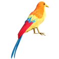 thumbnail image 4 of Pájaros artificiales en clips - Aves de espuma con plumas artificiales para manualidades de bricolaje Adornos de pájaros de jardín Decoraciones para f 5 Baoblaze Pájaro Artificial Decorativo, 4 of 6