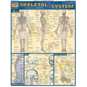 VINCENT PEREZ Skeletal System (Other)