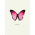 thumbnail image 3 of GraphINC 14x18 Black Modern Framed Museum Art Print Titled - Pink Butterfly, 3 of 5