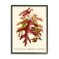 thumbnail image 2 of Stupell Industries Antique Scarlet Oak Branch Illustration Autumn Leaves, 16 x 20,Design by Daphne Polselli, 2 of 5