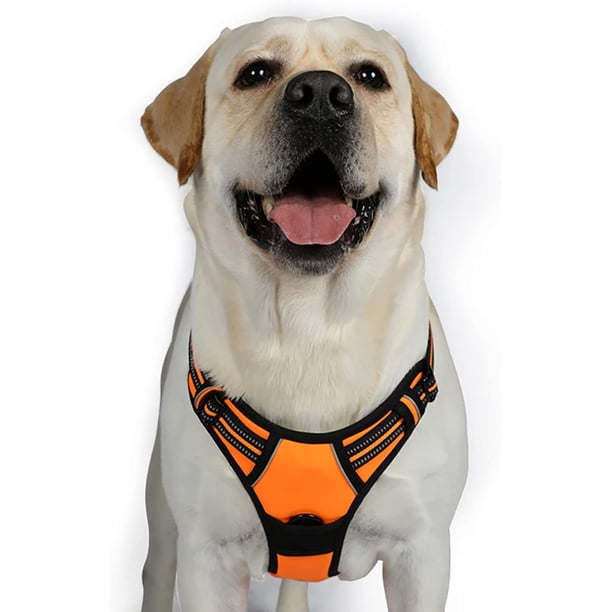 View of Dog harness, medium-sized dogs, anti-pull harness, dog with no-pull ...