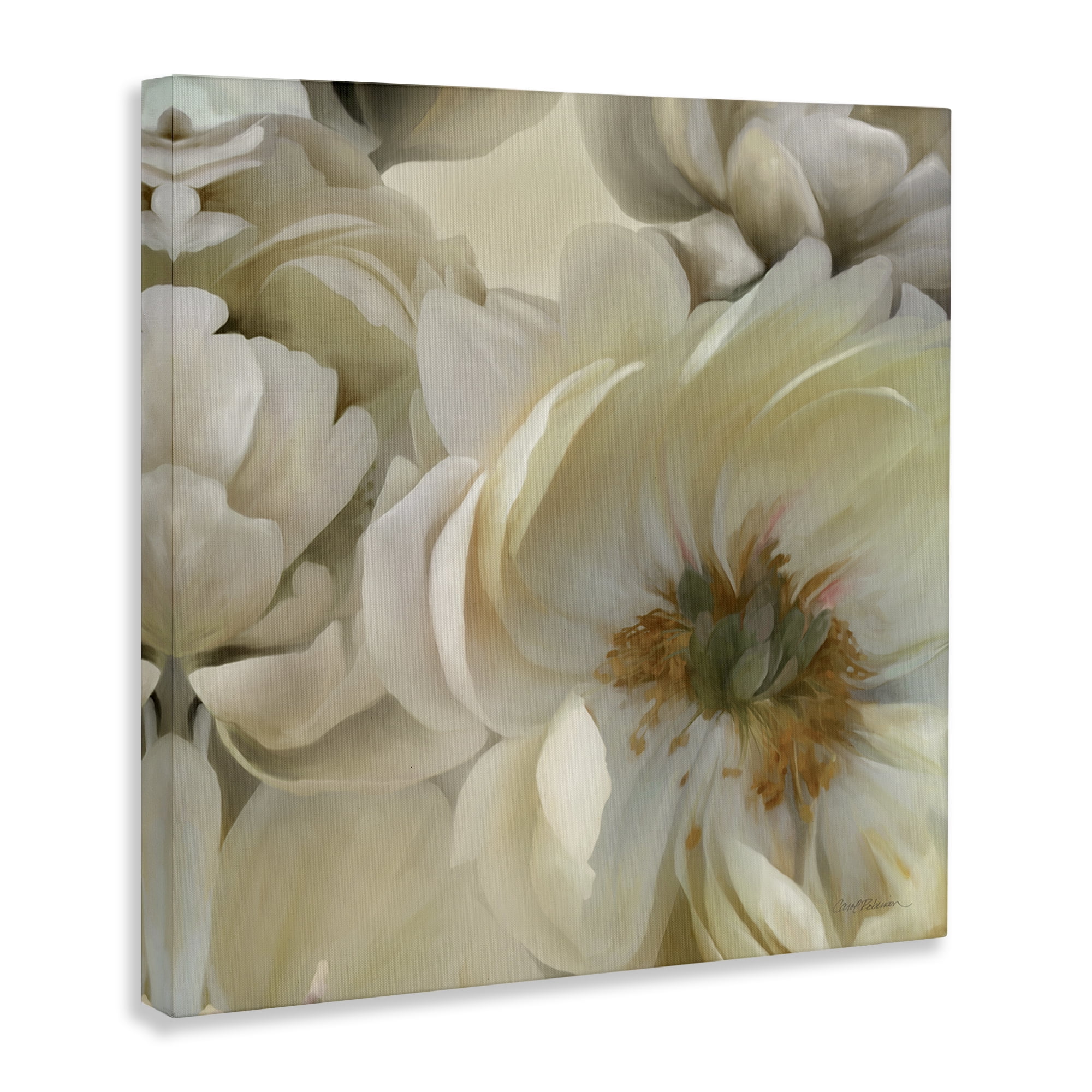 Stupell Industries Curled Magnolia Petals Plants & Flowers Photography Wrapped Canvas Art Print Wall Art, 30 x 30