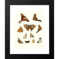thumbnail image 2 of Johann Heinrich Sulzer 19x24 Black Modern Framed Museum Art Print Titled - Dr. Sulzer's Short History of Insects, Pl. 18 (1776), 2 of 5
