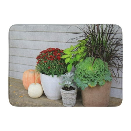 GODPOK Inviting Scene with Potted Plants and Colorful Mums Next to Variety of Pumpkins on Front Porch Country Rug Doormat Bath Mat 23.6x15.7