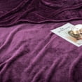 thumbnail image 2 of IR Imperial Rooms Fleece Bed Blanket 310 GSM Microfiber Lightweight Warm Winter Blanket Fluffy Cozy Plush Throw Purple Twin Size, 2 of 8