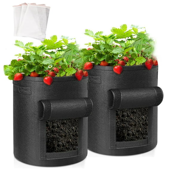 2 Pack 5 Gallon Plant Grow Bags with Handles, Washable Fabric Pot, Durable Reusable Raised Garden Bed for Vegetable, Easy Move Planting Container for Potato, Carrot, Onion, Tomato（Black）
