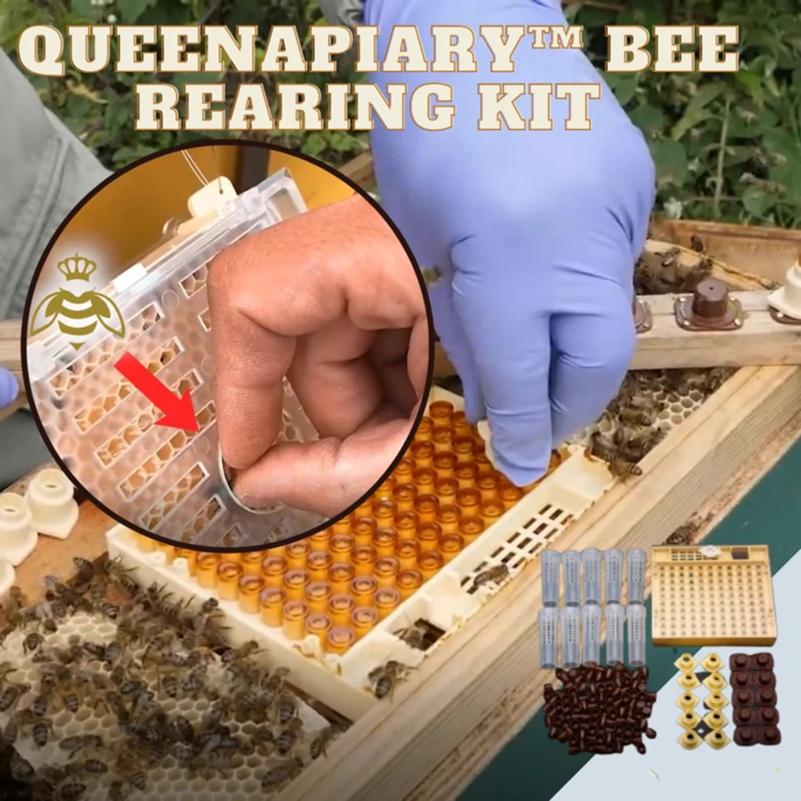 Complete Queen Rearing Cupkit System Bee Beekeeping Catcher Box & 100 Cell Cups 