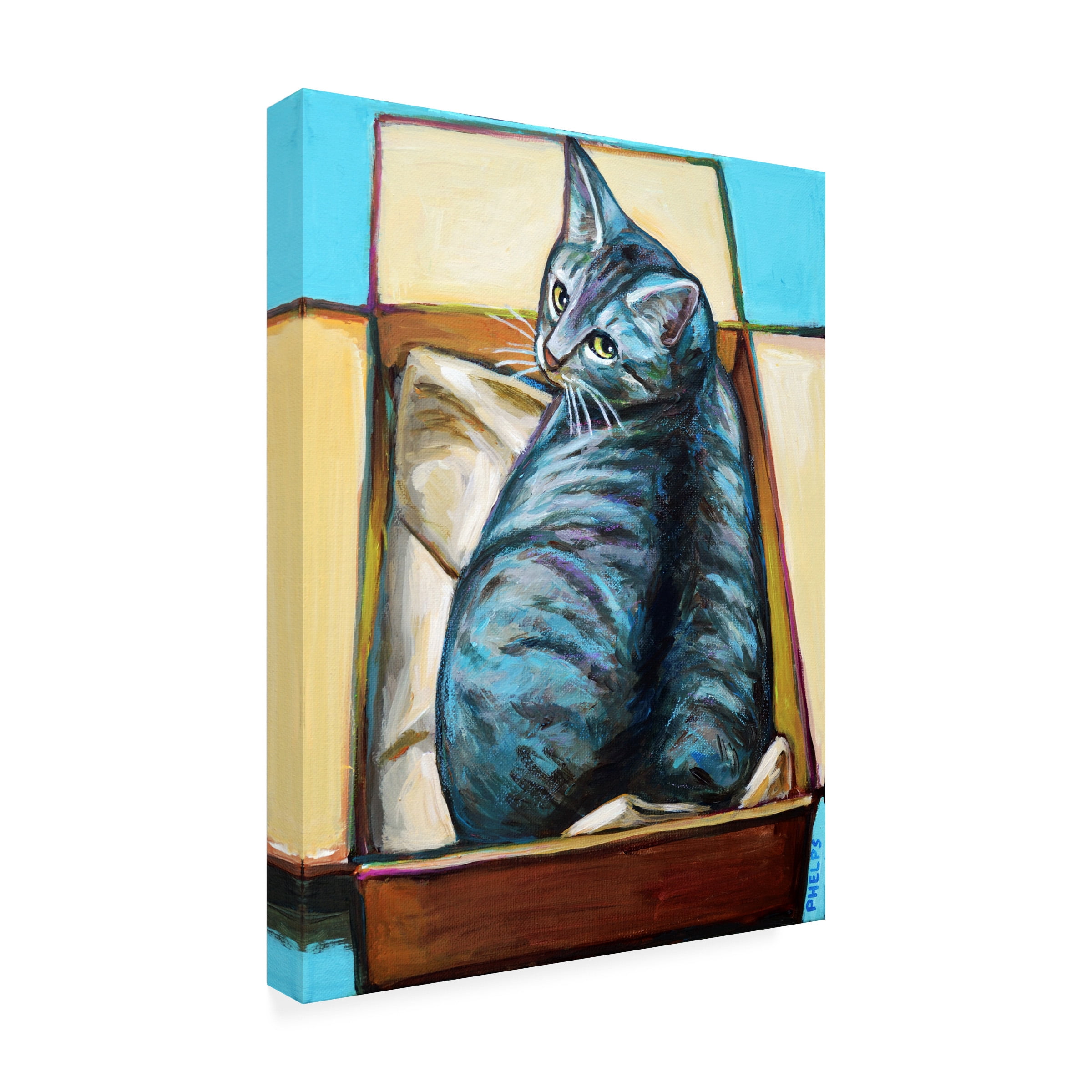 Robert Phelps Art 'Slinky in a Box' Canvas Art