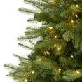 thumbnail image 3 of Nearly Natural 5ft. Vancouver Fir Natural Look Artificial Christmas Tree with 350 Clear LED Lights and 1054 Bendable Branches, 3 of 10